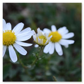 Baie reorganizată discret, înainte și după
